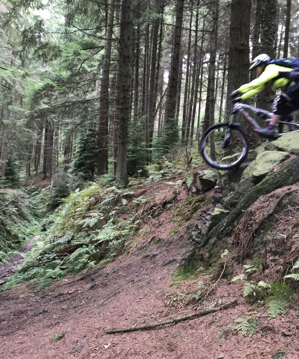 private mountain bike skills coaching